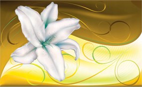 Fotótapéta Fehér Liliom Elegancia Absztrakt Színátmenet 254x184 +ragasztó