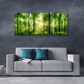 Vászonkép Természet Erdei fák 100x50 cm