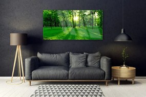 Fali üvegkép Forest Park Természet 125x50 cm
