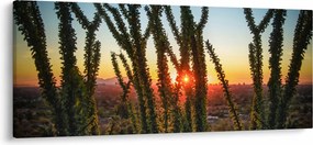 Kép - Növények (120x50 cm)