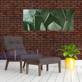 Kép - Zöld agávé (120x50 cm)