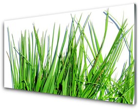 Üvegfotó Grass A Wall 100x50 cm 2 fogas