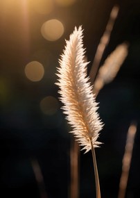 Poszter 59,4x84,1cm Arany fény