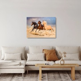 Kép - Vad lovak (üvegen) (70x50 cm)