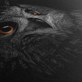 Kép - bagoly, ábra (120x50 cm)