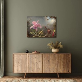 Kép - Martin Johnson Heade, Cattleya Orchid and Three Hummingbirds, reprodukciók (70x50 cm)