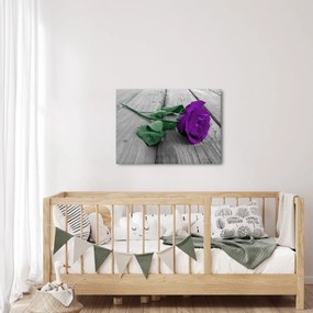 Kép - Lila rózsa zöld szárral (70x50 cm)
