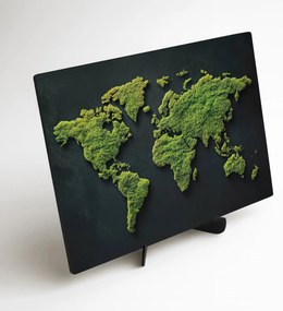 DUBLEZ | Fa kép - Moha világtérkép