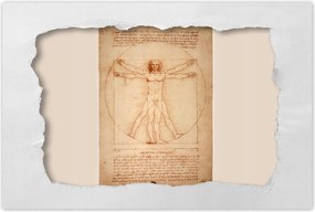 Poszterek 60x40 Vitruvius ember