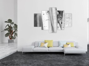 Kép - Farkas az erdőben (150x105 cm)