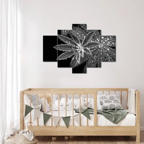 Kép - Cseppek (150x105 cm)