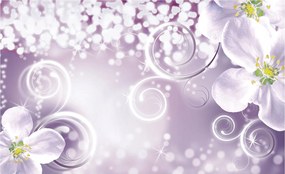 Fotótapéta Fehér Virágok Bokeh Ezüst háttér Absztrakt 350x250 +ragasztó