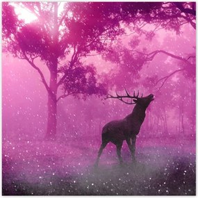 Poszterek 30x30 Szarvas a varázslatos erdőben
