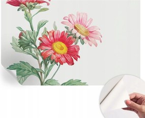 Divatos öntapadós fali tapéta Furnér Finom virágok 416x254 cm