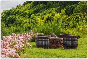 Poszterek 120x80 Csodálatos kert