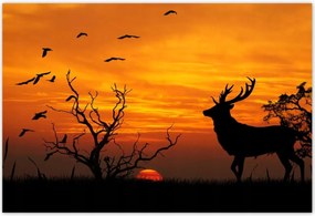 Poszterek 155x105 Szarvas és naplemente