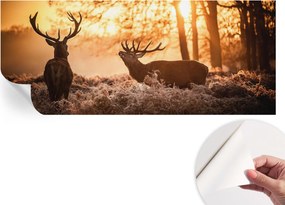 Divatos öntapadós fali tapéta Szarvas furnér reggel 250x104 cm