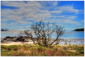 Poszterek 120x80 Kilátás a tengerpartról