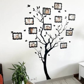 INSPIO Családfa falmatrica
