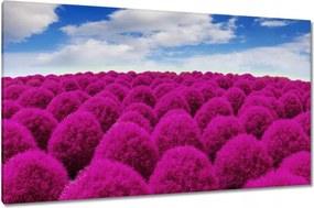 Vászonkép 120x70 Kifejező rét Tájkép