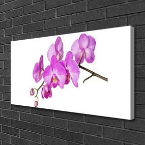 Vászonkép nyomtatás Orchidea Orchidea Virág 100x50 cm