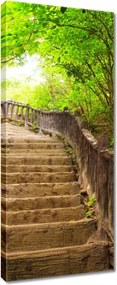Vászonkép 40x100 Lépcsők az erdőbe