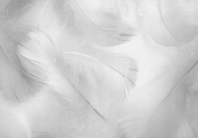 Fotótapéta falra Pálmalevelek 3D hatás Toll Flizelin Ragasztó 416 x 254