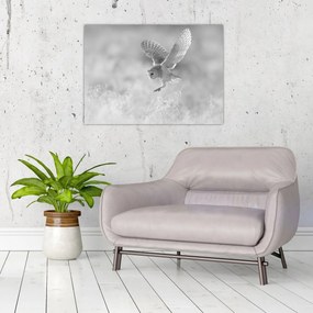 Üveg kép - Bagoly a mezőn (70x50 cm)