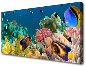 Vászonkép Barrier Reef Nature 120x60 cm