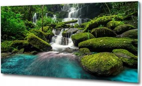 Fotó kép edzett üveg Köd az erdőben 100x70