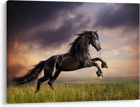Kép - Lovak (70x50 cm)
