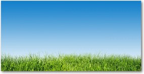 Üvegpanel a konyhába Fű 120x60 cm Ragasztó