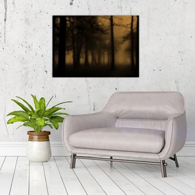 Kép - Sötét erdő (70x50 cm)