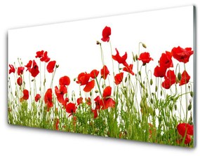 Üvegkép Pipacsok virágok Mező Természet 140x70 cm