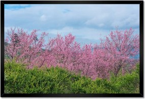 Poszterek keretben 60x40 Virágzó cseresznye