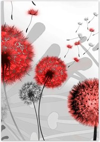 Poszterek 70x100 Piros pitypangok