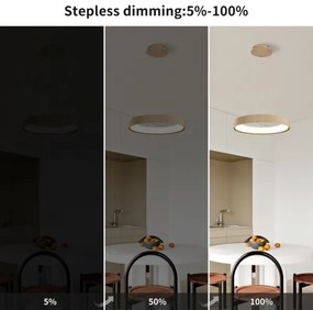 Brilagi - Dimmelhető LED függőlámpa kábelen FALCON MODERN LED/30W/230V 40 cm bézs + távirányító