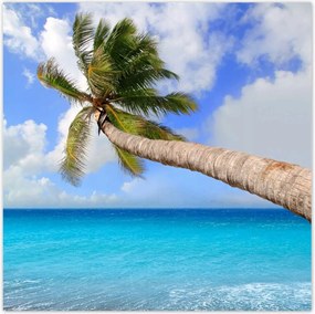 Poszterek 30x30 Pálmafák az óceán felett