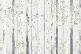 Fotótapéta Flizelina Gyerekek Erdő Park Kert Nyírfák 208x146 ragasztó