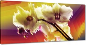 Vászonkép 180x90 Orchidea Gyönyörű virágok