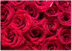 Üveg falpanel Cseppek a rózsákon Ragasztó Ingyenes