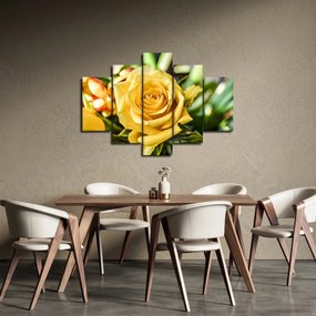 Rózsa képe (150x105 cm)