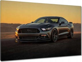 Képek 120x80 Ford Mustang made in Usa