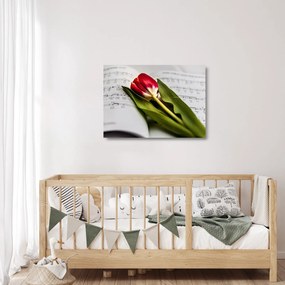 Egy vörös tulipán képe (üvegen) (70x50 cm)
