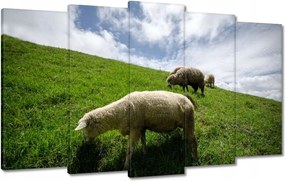 Vászonkép 100x60 Bárányok a legelőn