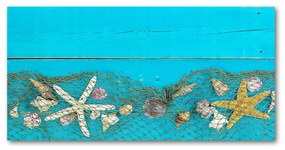 Akrilüveg fotó Starfish és kagylók oah-109003308