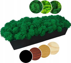 Fa kaspó 60cm Mohával Chrobotka hosszú moha natúr