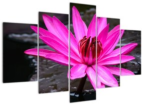 Kép - rózsaszín virág (150x105 cm)