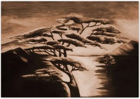 Poszterek 100x70 Afrikai fa