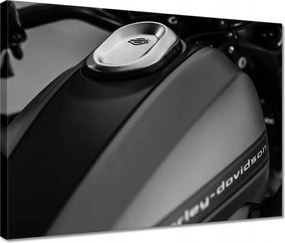 Vászonkép 40x30 Harley Davidson Motorkerékpár